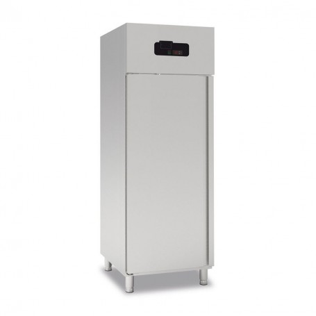 Armadio Freezer Ventilato Digitale - 700 Litri - Tropicalizzato [-22 -18C°]