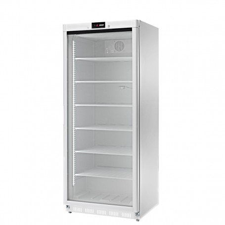 Espositore Freezer Statico - Porta a Vetri | 580 Litri | -18 C° - Digitale
